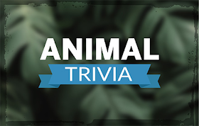 Animal Trivia HTML5 Game