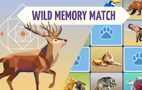 Wild Memory Match HTML5 Game